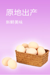 肉禽蛋类